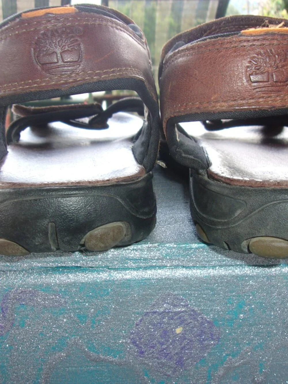 TIMBERLAND this pair